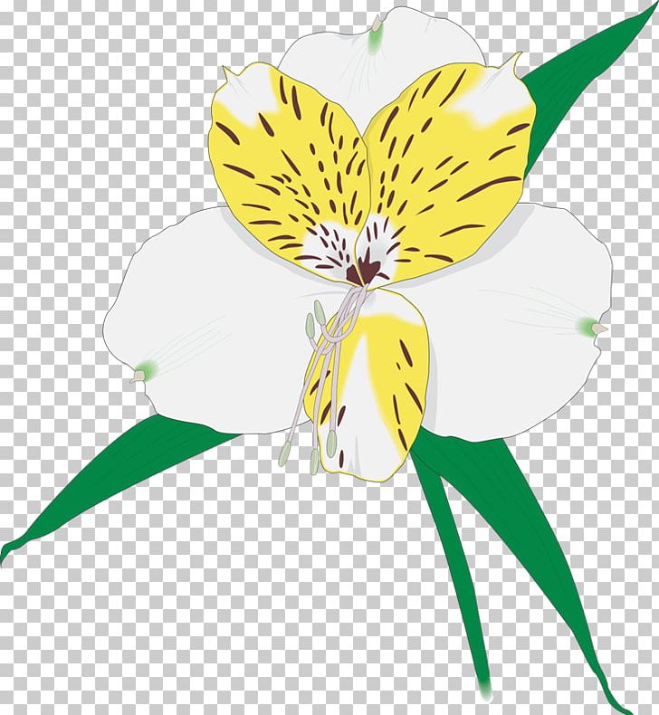 Photography ストックフォト PNG, Clipart, Alstroemeriaceae, Butterfly, Cut Flowers, Fictional Character, Flora Free PNG Download
