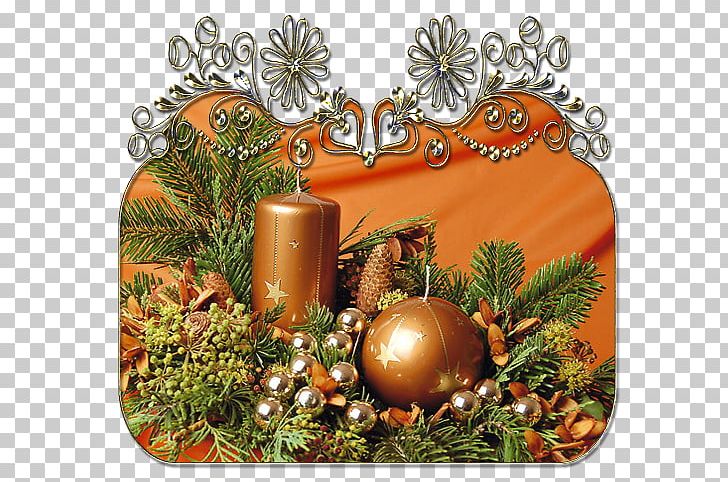 Christmas Ornament Pine Pinaceae PNG, Clipart, Christmas, Christmas Decoration, Christmas Ornament, Conifer, Fruit Free PNG Download