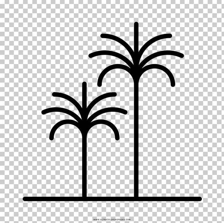 Drawing Coloring Book Arecaceae Black And White PNG, Clipart, Arecaceae, Artwork, Black And White, Branch, Coloring Book Free PNG Download