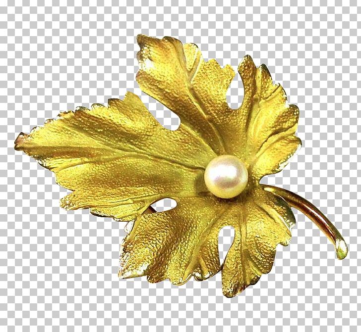 Earring Brooch Jewellery Pin Pearl PNG, Clipart, Body Jewelry, Brooch, Canadian Gold Maple Leaf, Charms Pendants, Cultured Freshwater Pearls Free PNG Download
