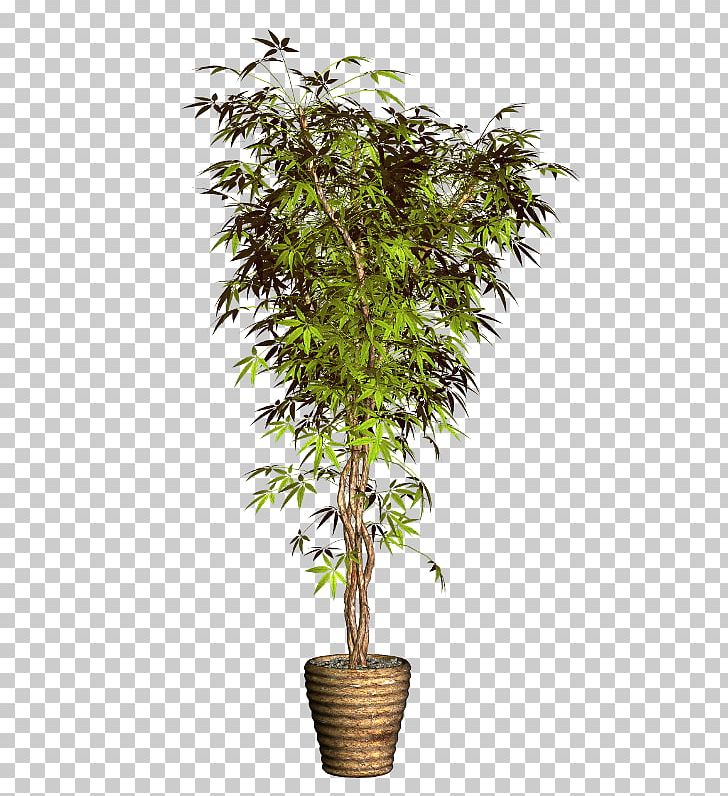 Flowerpot Вазон Plant PNG, Clipart, Cicek, Cicek Resimleri, Cotton, Evergreen, Flower Free PNG Download