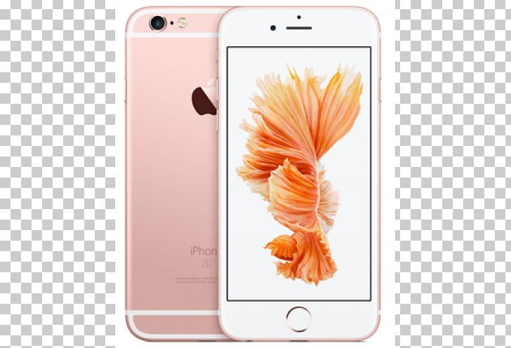 IPhone 6s Plus IPhone 6 Plus Apple Telephone PNG, Clipart, Apple, Electronic Device, Flower, Flowering , Fruit Nut Free PNG Download