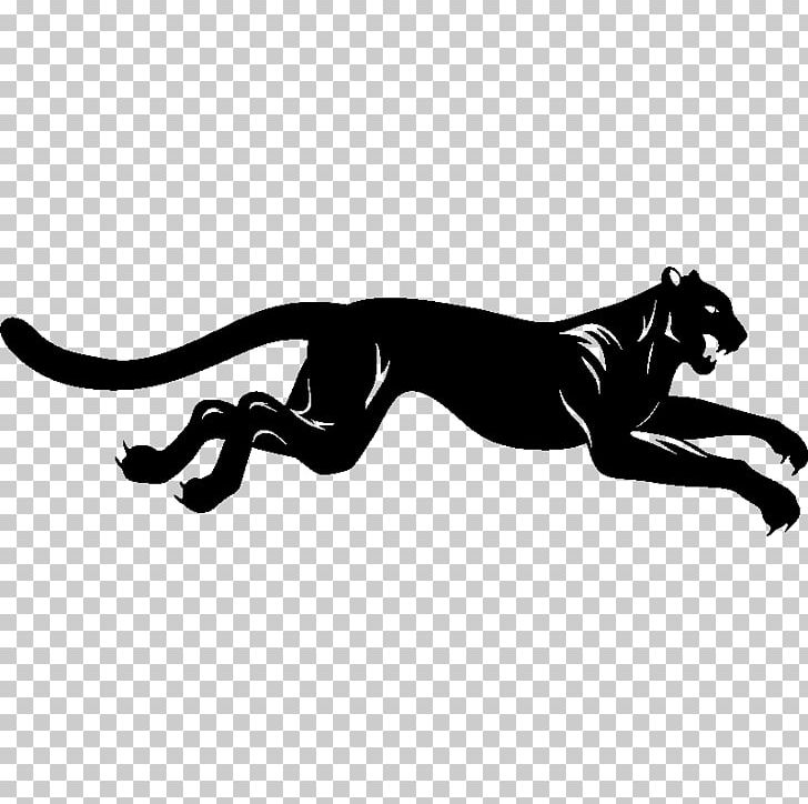 Panther Cougar Leopard Cheetah Tiger PNG, Clipart, Animals, Big Cats, Black, Black And White, Carnivoran Free PNG Download