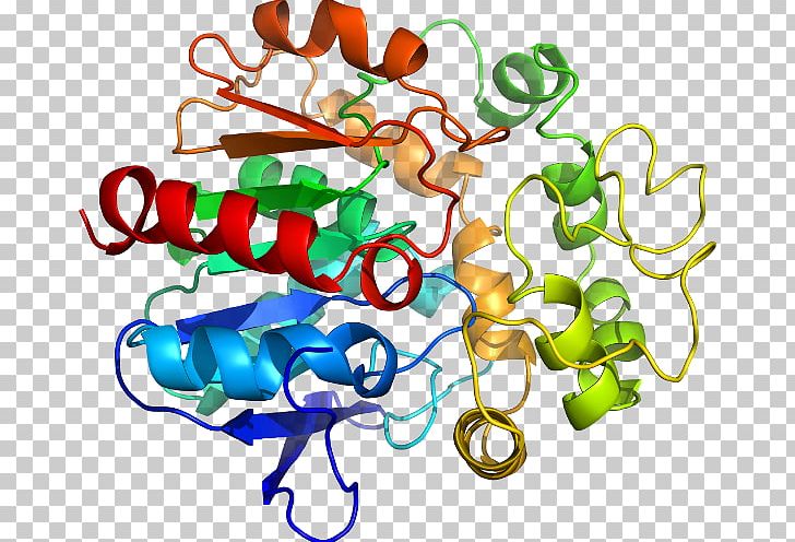 SPINK1 Trypsin Homology Modeling Protein Pancreas PNG, Clipart, Area, Artwork, Biochemistry, Body Jewelry, Chymotrypsin Free PNG Download