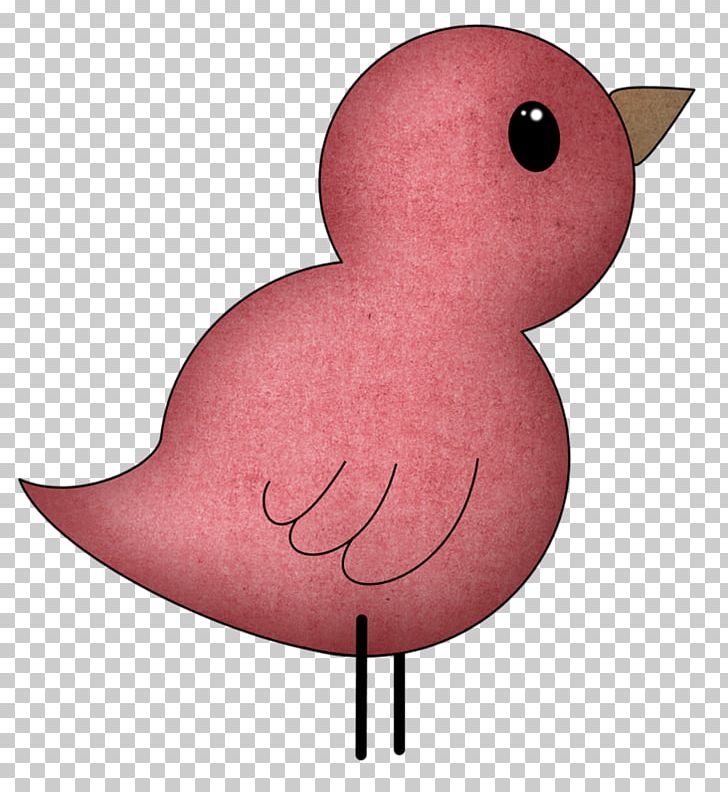 Bird Chicken Green PNG, Clipart, Animals, Beak, Bird, Bird Cage, Blog Free PNG Download
