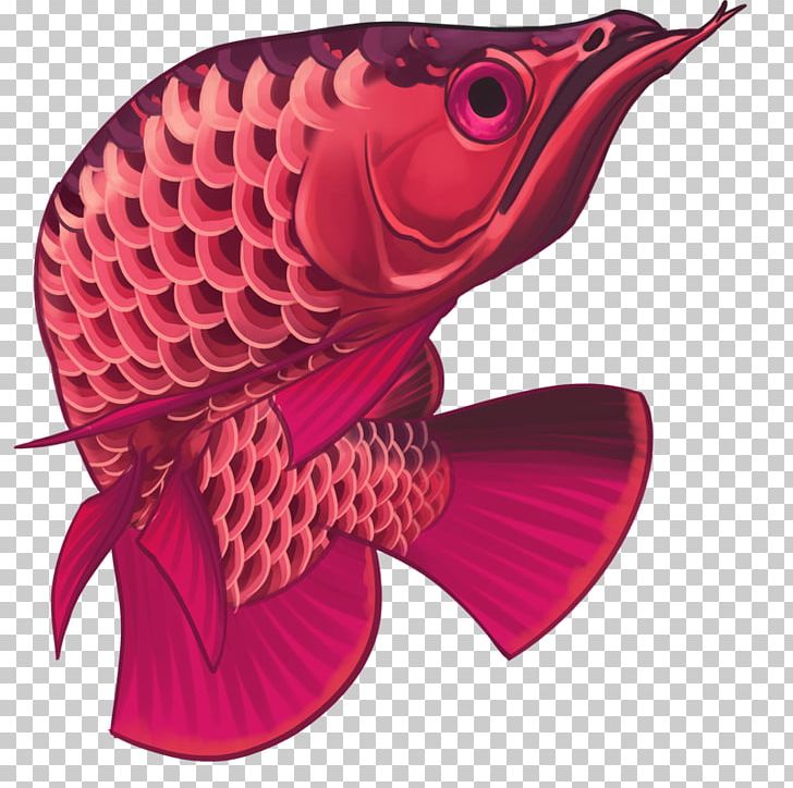 Asian Arowana Ornamental Fish Animal PNG, Clipart, Aesthetics, Animal, Animals, Arowana, Asian Arowana Free PNG Download