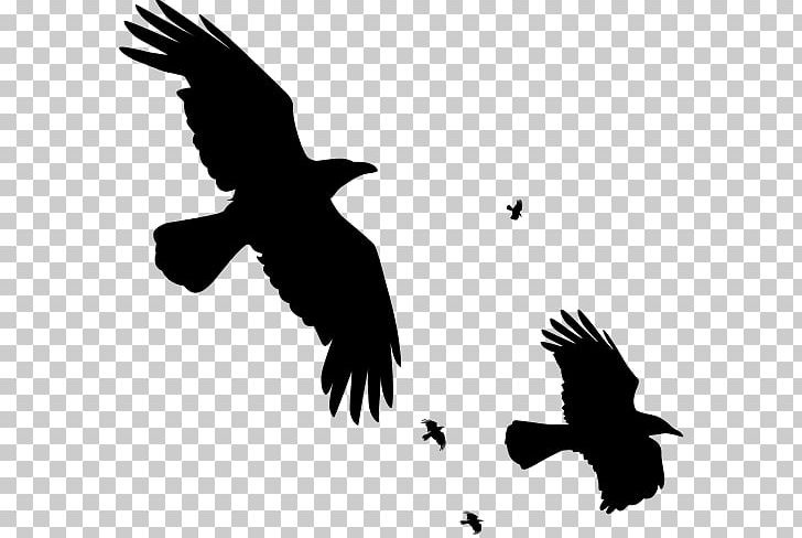 Common Raven Bird T-shirt Silhouette PNG, Clipart, Beak, Bird, Bird Of Prey, Black And White, Common Raven Free PNG Download