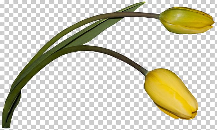Flower Cartoon Plant Stem PNG, Clipart, Bud, Cartoon, Commodity, Download, Flower Free PNG Download