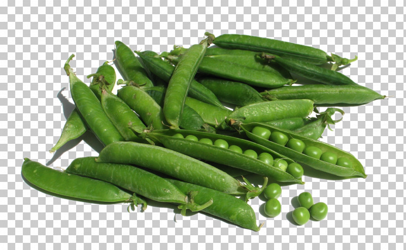 Snow Pea Snap Pea Green Bean Vegetable Fruit PNG, Clipart, Bean, Common Bean, Fruit, Fruit Vegetable, Green Bean Free PNG Download