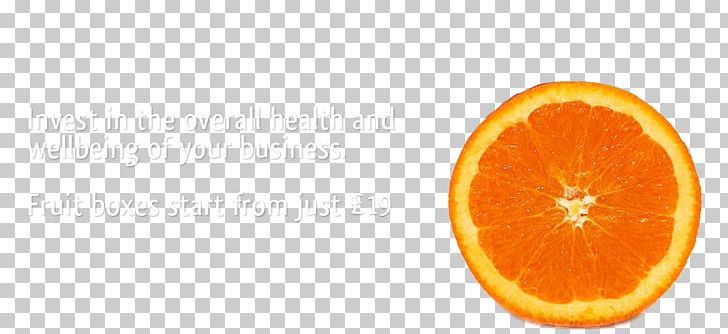 Blood Orange Knife Desktop PNG, Clipart, Bitter Orange, Blood Orange, Citric Acid, Citrus, Clementine Free PNG Download