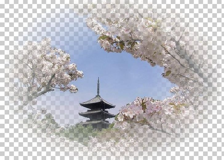 Japan Cherry Blossom Lecture Economique De L'Histoire Du Japon Landscape Hanami PNG, Clipart, Cherry Blossom, Hanami, Japan, Japon, Landscape Free PNG Download