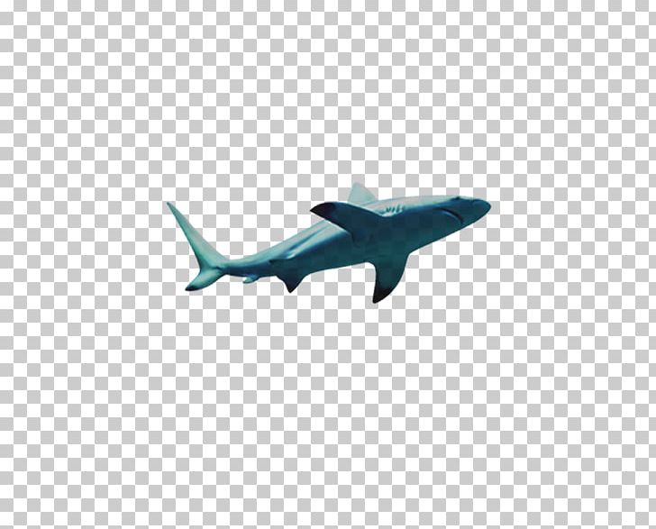 Shark Gratis PNG, Clipart, Aircraft, Airplane, Air Travel, Animals, Big Shark Free PNG Download
