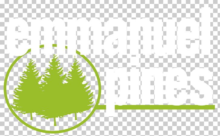 T-shirt Shiloh Christian Fellowship Forest Trail 332 Emmanuel Pines Camp & Conference Center Logo PNG, Clipart, Arizona, Brand, Circle, Clothing, Computer Wallpaper Free PNG Download