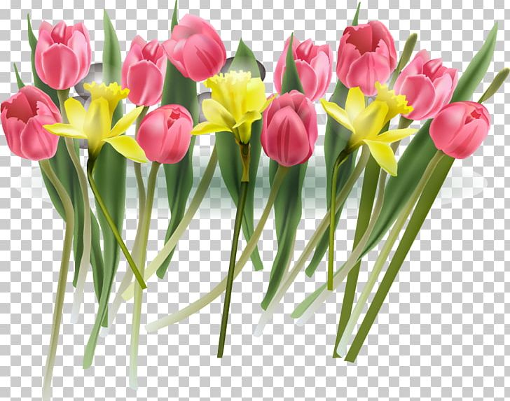 Tulip Flower Euclidean PNG, Clipart, Adobe Illustrator, Cut Flowers, Designer, Encapsulated Postscript, Floral Design Free PNG Download