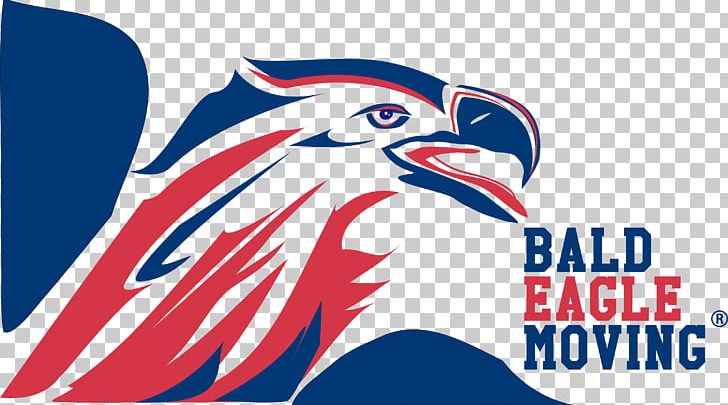 Bald Eagle Moving LLC Beak Mover Bird PNG, Clipart, Animals, Area, Bald, Bald Eagle, Beak Free PNG Download