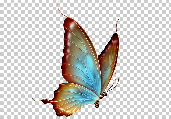 Butterfly YouTube PNG, Clipart, Brush Footed Butterfly, Butterflies And Moths, Butterfly, Butterfly Dream, Cartoon Free PNG Download