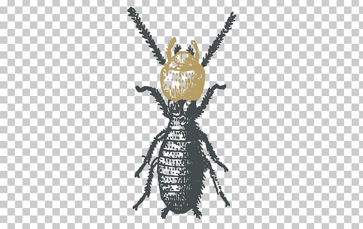 Cockroach Ant Termite PNG, Clipart, Animals, Ant, Arthropod, Bee, Cockroach Free PNG Download