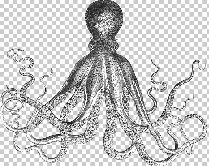 Octopus Printing Printmaking Paper Decorative Arts PNG, Clipart, Art, Black And White, Body Jewelry, Cephalopod, Decorative Arts Free PNG Download