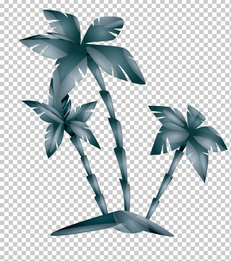 Palm Tree PNG, Clipart, Anthurium, Arecales, Automotive Wheel System, Blackandwhite, Flower Free PNG Download