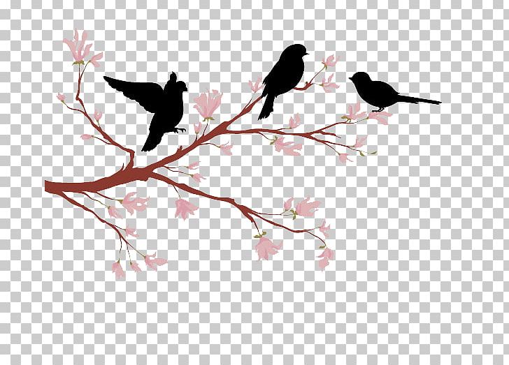 Lovebird Branch Silhouette PNG, Clipart, Beak, Bird, Birdcage, Bird Cage, Birds Free PNG Download