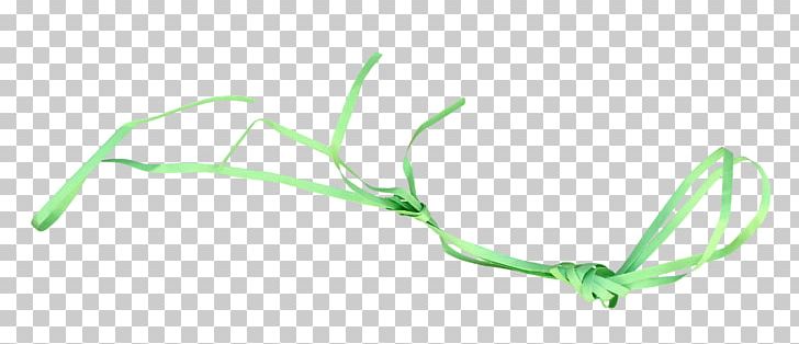Ribbon Computer File PNG, Clipart, Background Green, Branch, Brand, Clothing, Colored Free PNG Download