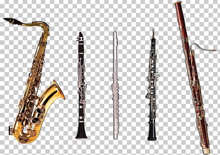 Woodwind Instrument Musical Instruments Clarinet PNG, Clipart, Alto Saxophone, Baritone Saxophone, Bass Oboe, Bassoon, Brass Instrument Free PNG Download