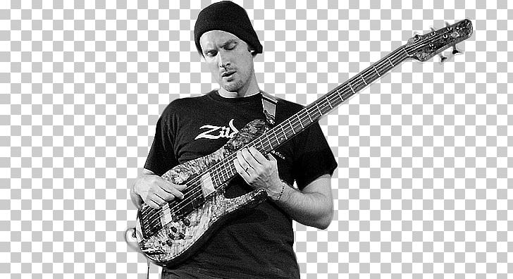 Bass Guitar Bassist Electric Guitar TC Electronic Guitarist PNG, Clipart,  Free PNG Download