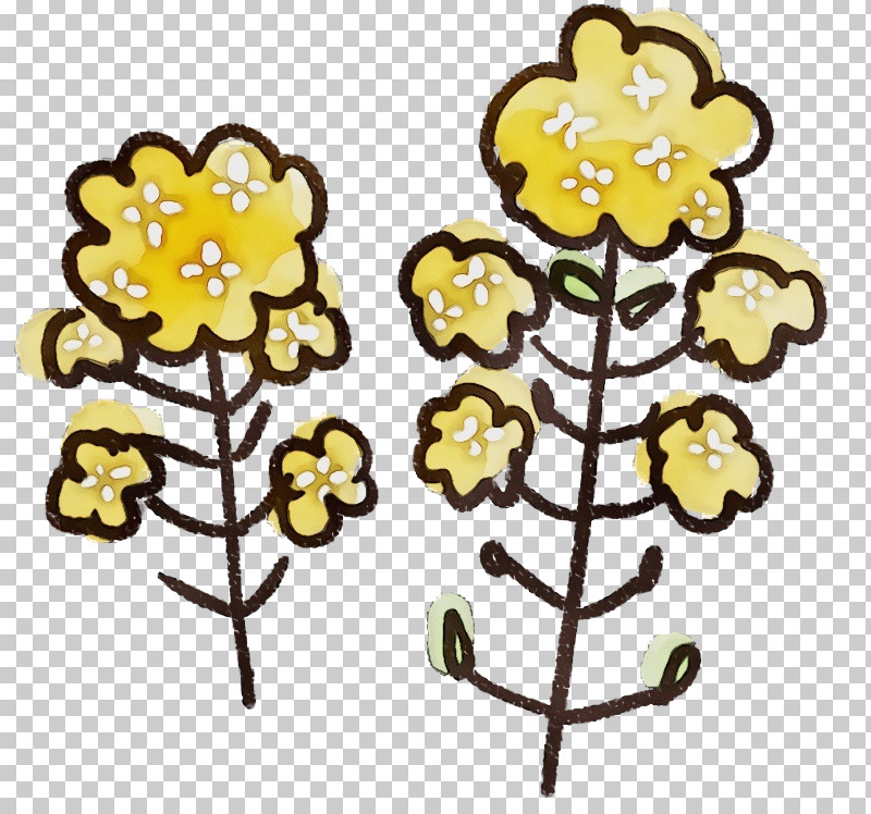 Yellow Plant Flower Cut Flowers PNG, Clipart, Cut Flowers, Flower, Paint, Plant, Watercolor Free PNG Download
