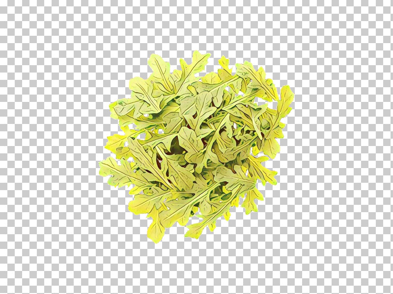 Yellow Flower Plant Aquarium Decor Goldenrod PNG, Clipart, Aquarium Decor, Flower, Goldenrod, Perennial Plant, Plant Free PNG Download