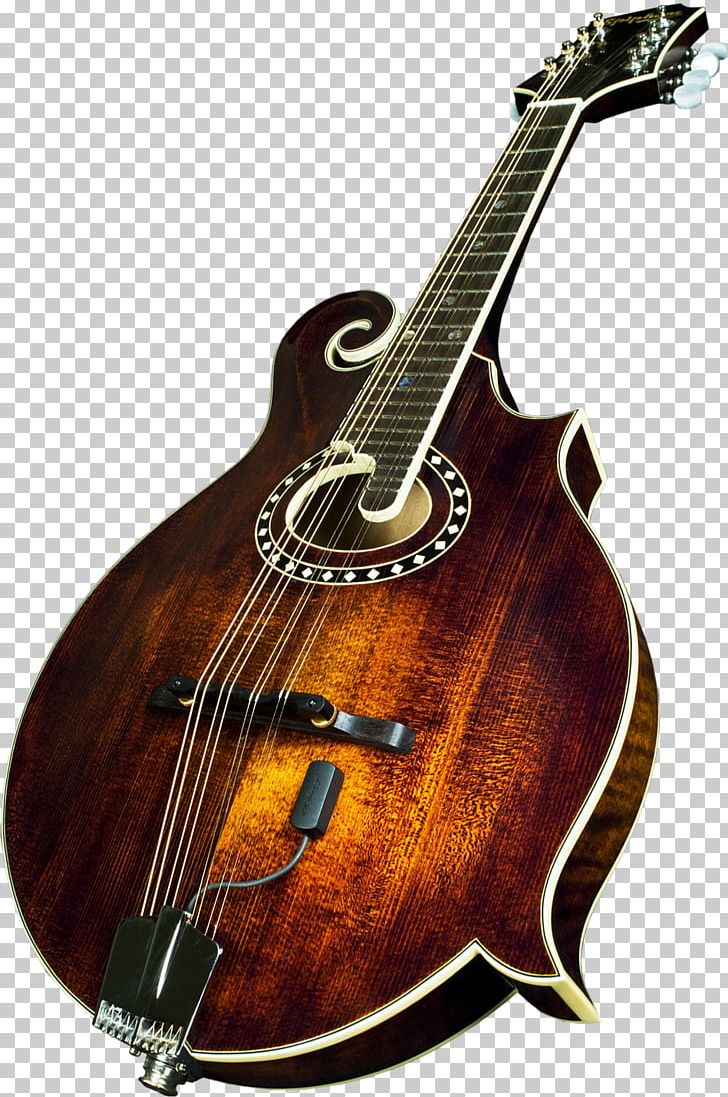Bass Guitar Acoustic Guitar Mandolin Tiple Acoustic-electric Guitar PNG, Clipart, Acoustic Electric Guitar, Acousticelectric Guitar, Acoustic Guitar, Guitar Accessory, Music Free PNG Download