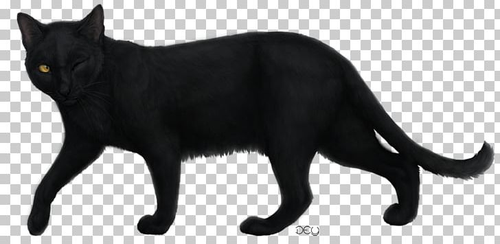 Black Cat Bombay Cat Korat Dog Drawing PNG, Clipart, Animals, Asian, Black, Black Cat, Bombay Free PNG Download