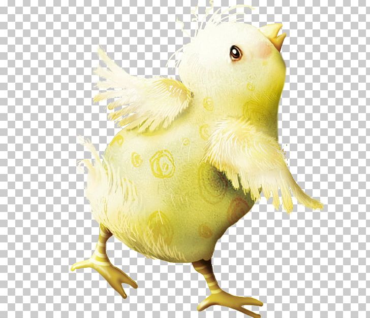 Duck Lutka School Graduate University Easter PNG, Clipart, Alena, Animals, Beak, Bird, Chicken Free PNG Download