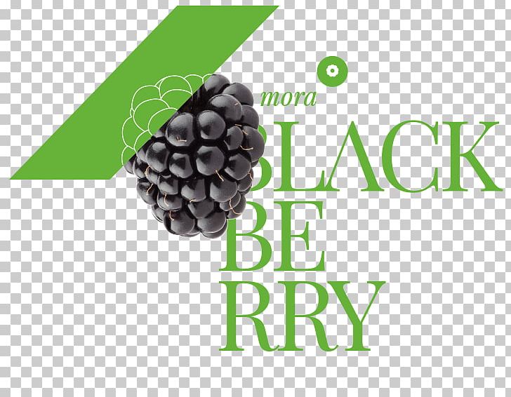 Fruit Production Amora Blackberry PNG, Clipart, Amora, Berry, Blackberry, Brand, Commodity Chain Free PNG Download