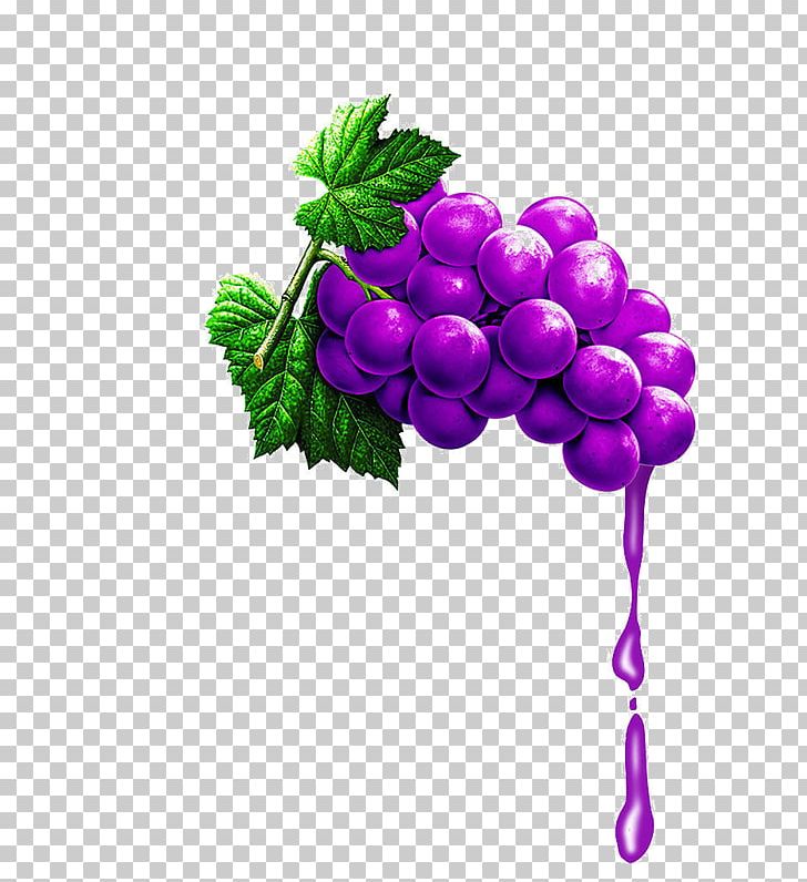 Grape Juice Grapevines Fruit PNG, Clipart, Auglis, Encapsulated Postscript, Flowering Plant, Food, Fruit Free PNG Download
