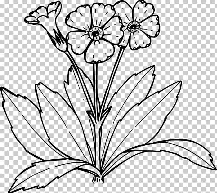Primrose Coloring Book Drawing Tree PNG, Clipart, Art, Artwork, Black And White, Branch, Color Free PNG Download