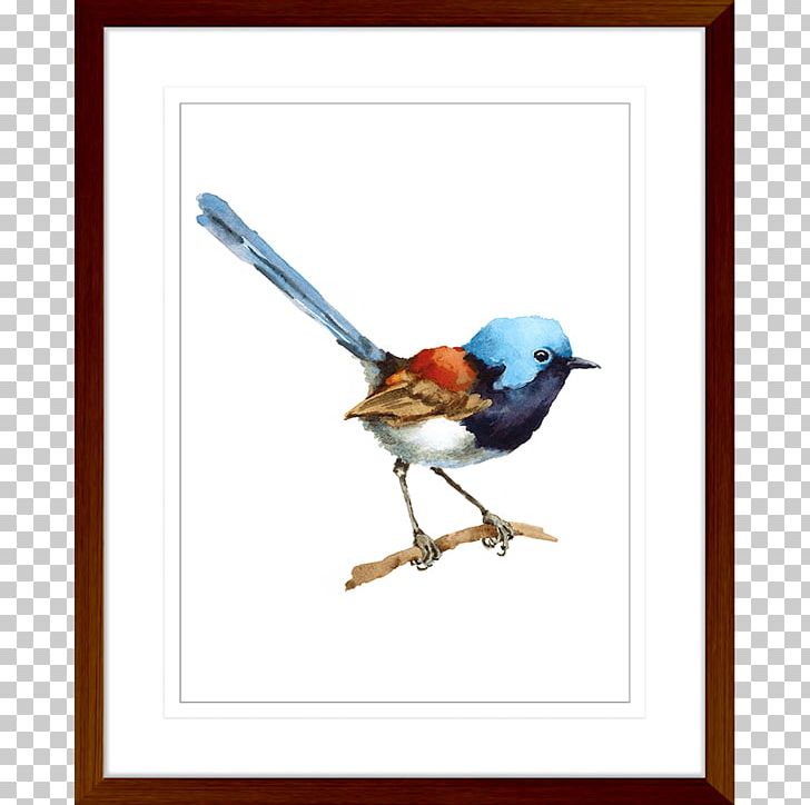 Superb Fairywren Bird Watercolor Painting PNG, Clipart, Animals, Art, Beak, Bird, Bluebird Free PNG Download