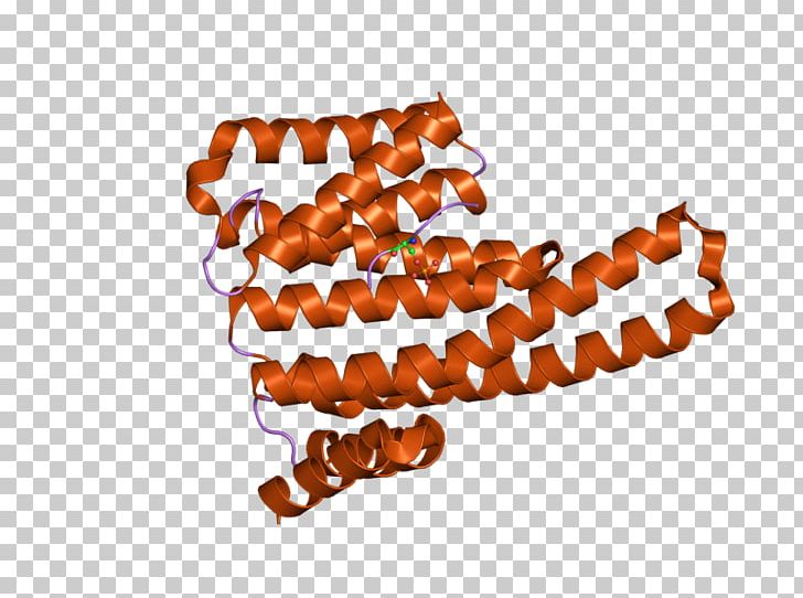 YWHAE 14-3-3 Protein Gene Font PNG, Clipart, 1433 Protein, Complex, Epsilon, Function, Gene Free PNG Download