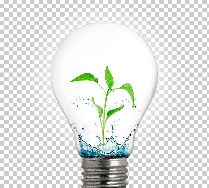 Incandescent Light Bulb Light-emitting Diode Electric Light PNG, Clipart, Compact Fluorescent Lamp, Computer Icons, Edison Light Bulb, Electricity, Electric Light Free PNG Download