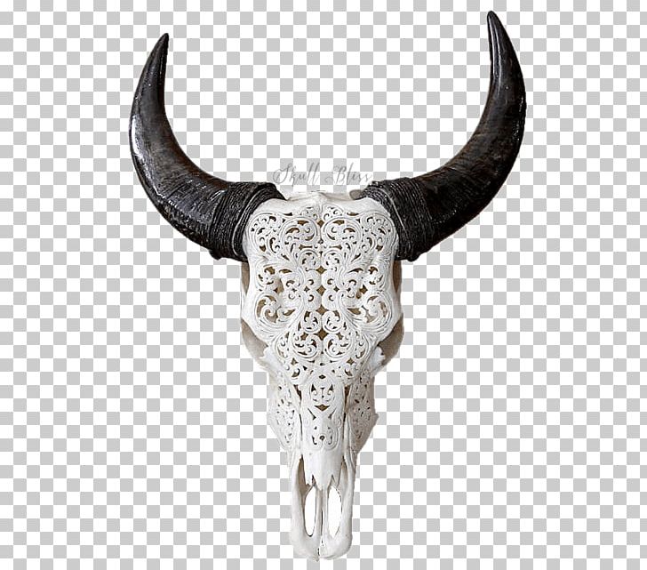 Texas Longhorn English Longhorn Skull Goat PNG, Clipart,  Free PNG Download