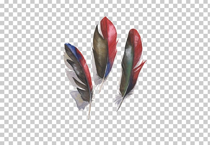Amazon Parrot Bird Feather PNG, Clipart, Amazon Parrot, Animals, Bird, Black Background, Black Feathers Free PNG Download