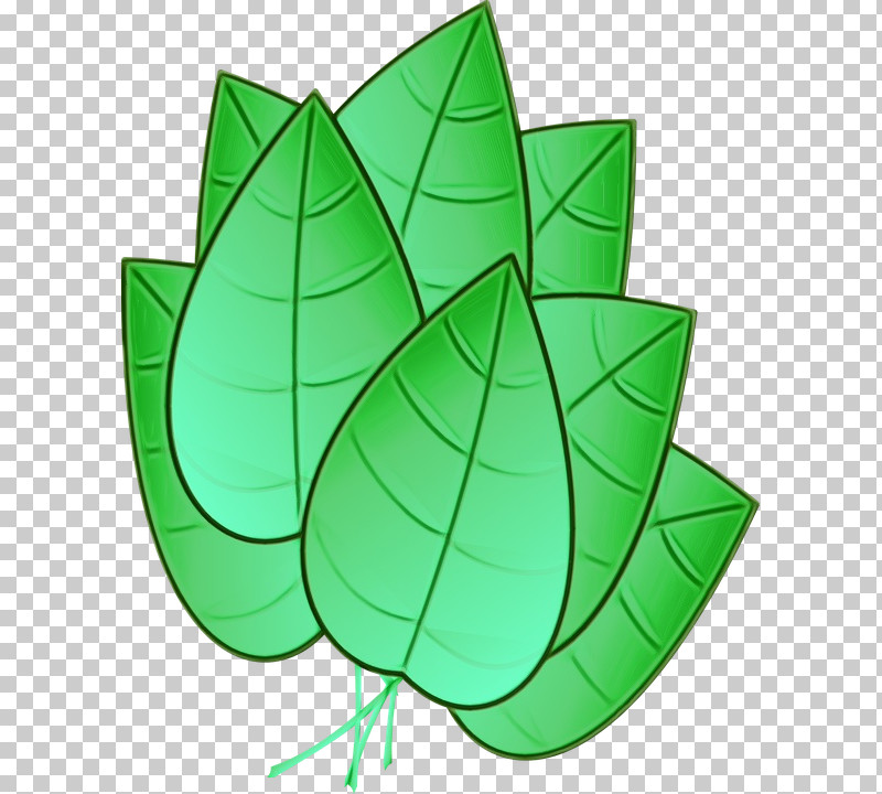 Leaf Circle Green Tree Plant PNG, Clipart, Analytic Trigonometry And Conic Sections, Biology, Circle, Green, Leaf Free PNG Download