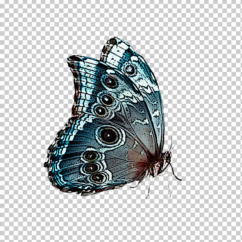 Cynthia (subgenus) Butterfly Insect Moths And Butterflies Brush-footed Butterfly PNG, Clipart, Apatura, Brushfooted Butterfly, Butterfly, Cynthia Subgenus, Insect Free PNG Download