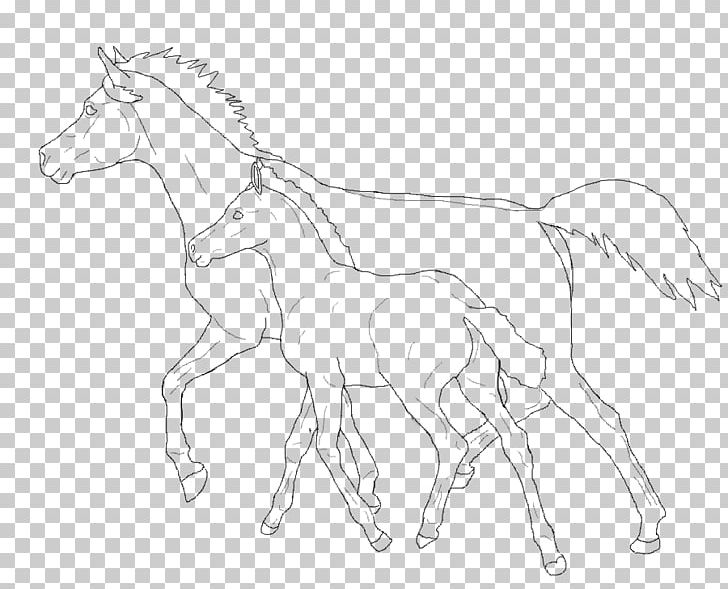 Mule Foal Colt Mare Mustang PNG, Clipart, Animal Figure, Arm, Artwork, Black And White, Bridle Free PNG Download