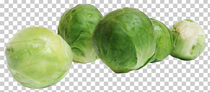 Brussels Sprout Cabbage Vegetable Sprouting PNG, Clipart, Biennial Plant, Brassica Oleracea, Brussels Sprout, Brussels Sprouts, Cabbage Free PNG Download