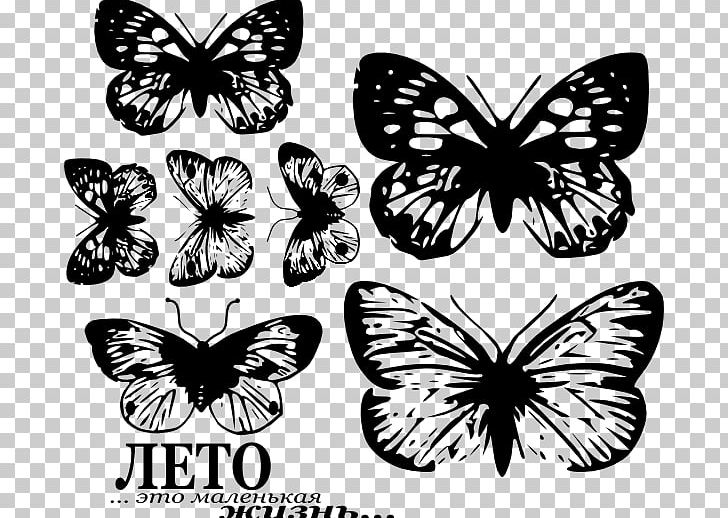 Monarch Butterfly Pieridae Brush-footed Butterflies PNG, Clipart, Arthropod, Black And White, Brush Footed Butterfly, Butterfly, Flower Free PNG Download