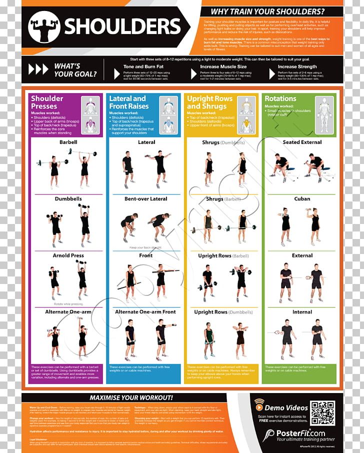 Shoulder Exercise Fitness Centre Strength Training Muscle PNG, Clipart, Advertising, Bench, Deltoid Muscle, Exercise, Fitness Centre Free PNG Download