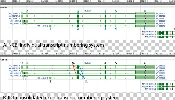 Computer Program Line Engineering Angle Screenshot PNG, Clipart,  Free PNG Download