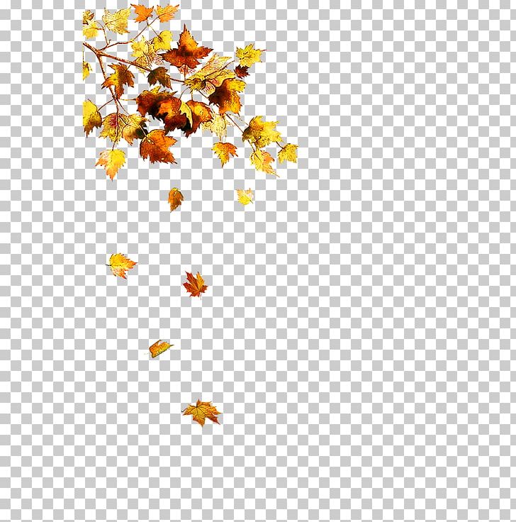 Autumn Leaf Watercolor Painting Drawing PNG, Clipart, Art, Autumn, Autumn Leaf, Autumn Leaf Color, Branch Free PNG Download