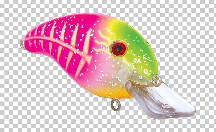 Fishing Baits & Lures Marine Biology Pink M PNG, Clipart, Bait, Biology, Colors, Dive, Fish Free PNG Download
