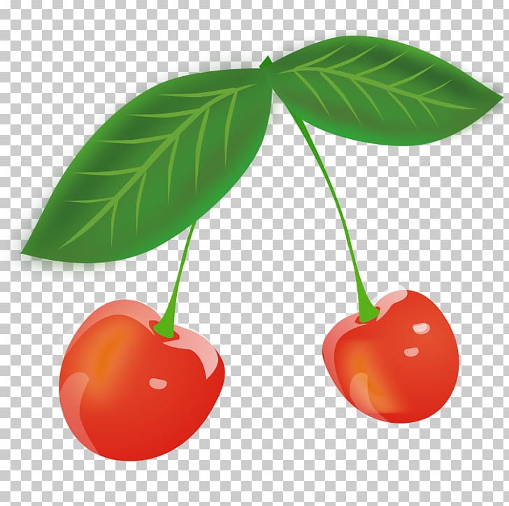 Sour Cherry Fruit PNG, Clipart, Berry, Black Cherry, Cherries, Cherry, Cherry Blossom Free PNG Download